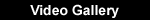 Video Gallery